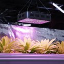 Lampa do uprawy wzrostu roślin Hillvert LED 1000W czarna