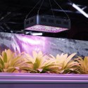 Lampa do uprawy wzrostu roślin Hillvert LED 1200W czarna