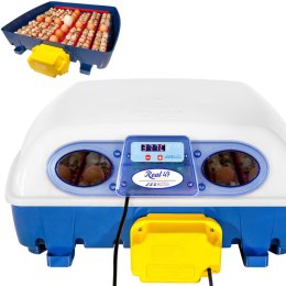 Inkubator klujnik do 49 jaj automatyczny z dozownikiem wody profesjonalny 150 W
