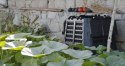 Plastikowy kompostownik ogrodowy, czarny, 1000 l