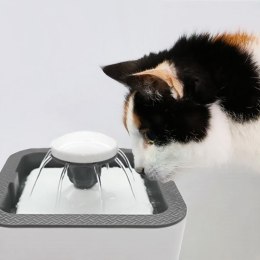 Automatyczny dozownik poidło miska z fontanną dla kota psa