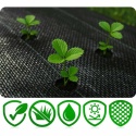 AGROWŁÓKNINA Ogrodowa 1,6m x 100m 90g/m2 + 100 szpilek Czarna